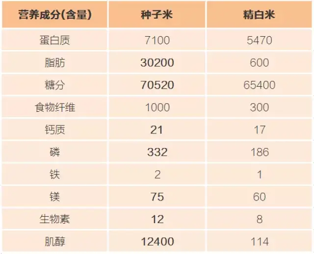 种子米与精白米营养成分对比