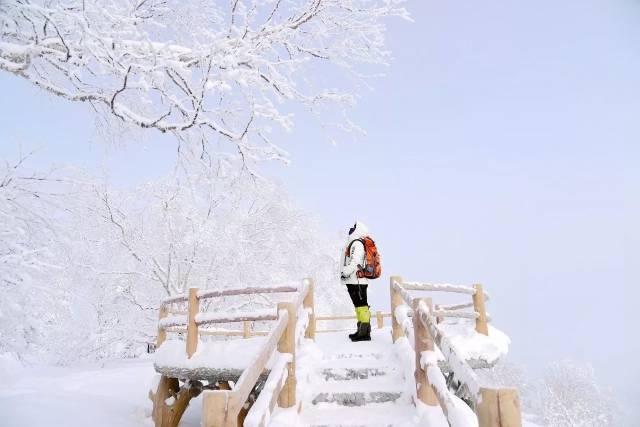 下午时间允许的话,建议爬一下雪乡的棒槌山山寨,景色不输给雪乡,全程