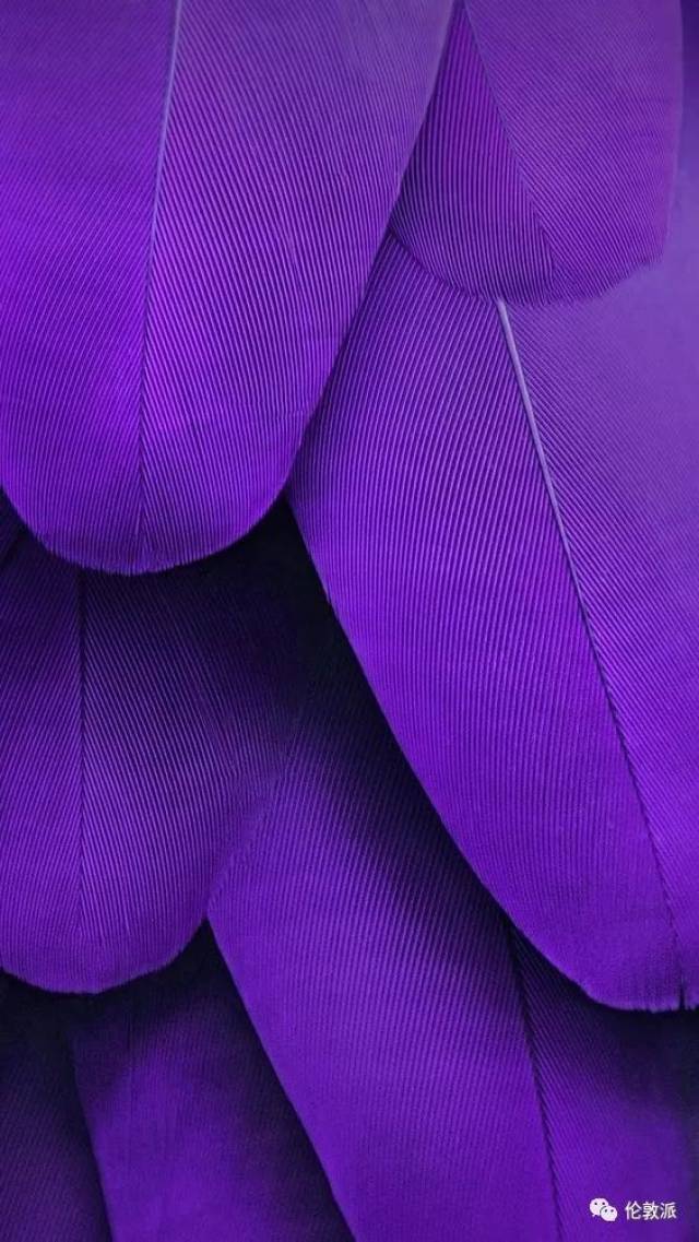 ultra violet!怎么配色才能称霸明年街拍?