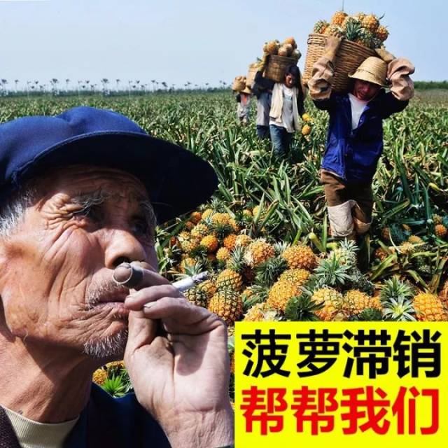 "××滞销 帮帮我们"的淘宝第一网红大爷,家业直逼马云!