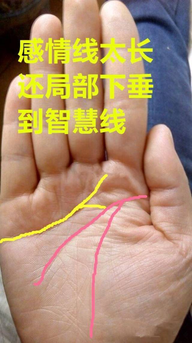 手中感情线不同的变化预示不同的情形,财富,争吵,离婚