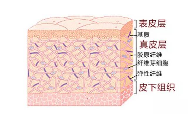 【6d分层线雕术】25岁之后您还不知道真的有点晚了!