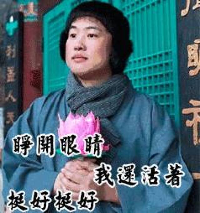 佛系追星
