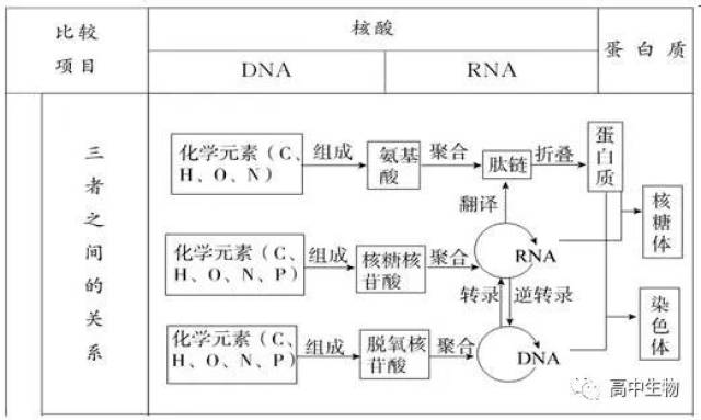 生理过程 结构 光合作用的暗反应 叶绿体基质 有氧呼吸第三阶段 线粒