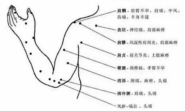 史上最全的人体穴位与功效图谱,不收藏就亏了