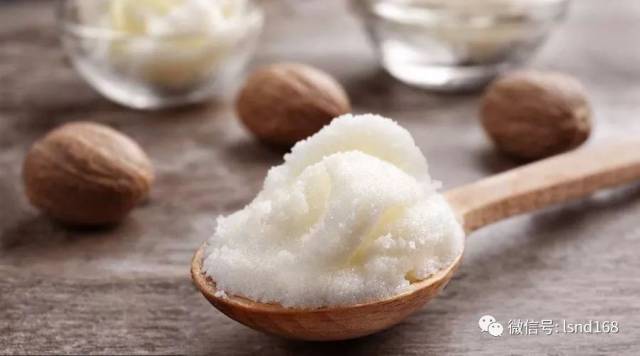 乳木果油产自非洲撒哈拉以南的半干旱草原上,已经被应用数千年,在