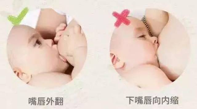 揭秘月薪五万催乳师的开奶手法, 宝宝这样吃奶快还不痛