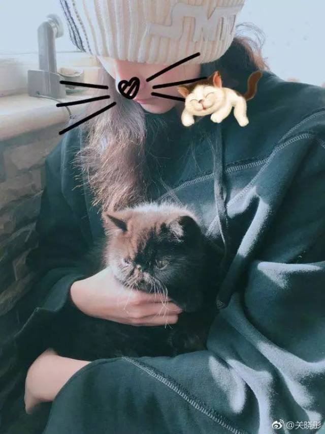 c35f128172a84ed2a89e1407882a065e.jpeg