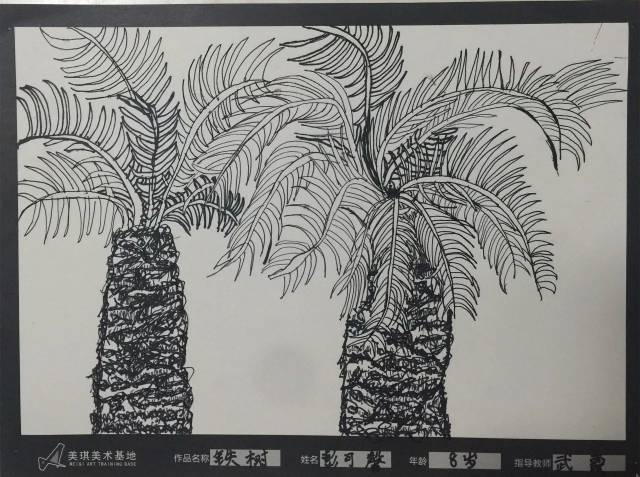 《铁树写生》 9岁作品