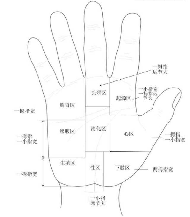 中医手诊的位和相_手机搜狐网