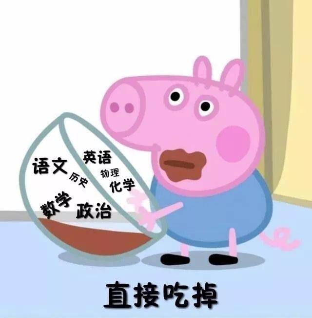 搜狐网