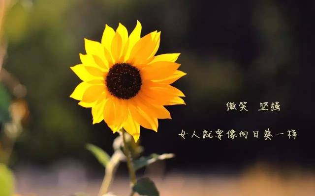 【微商.早安语】微商正能量励志素材(配图)第十一期