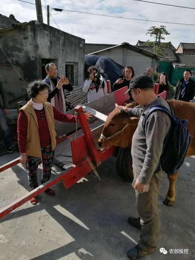 大陆乡建团队赴台湾见闻(三)