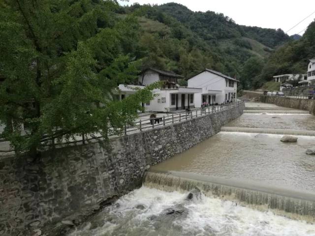 康县人口数_甘肃陇南康县图片