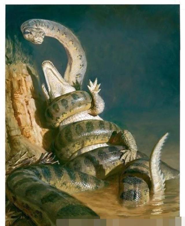 ִЩţƵ,˽