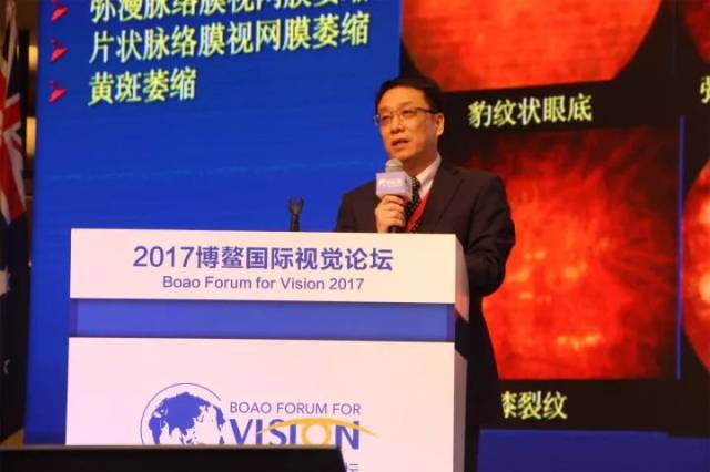 博鳌国际视觉论坛:瞿佳,吕帆,许迅,赵明威等教授们的干货分享都在这