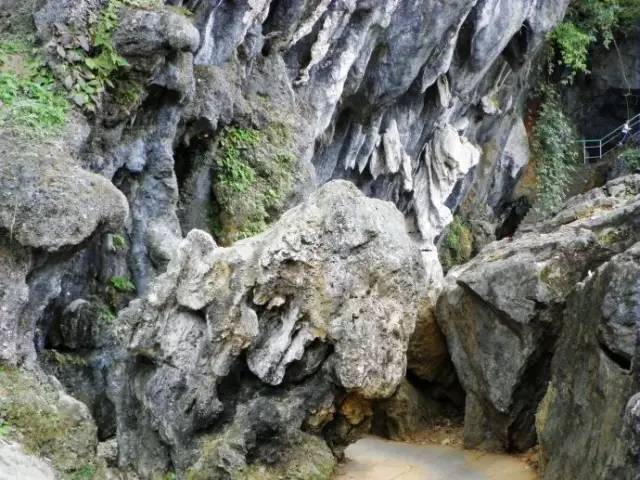 【五折钜惠】一价全含|12月23日/24日永安桃源洞,鳞隐石林一日游!