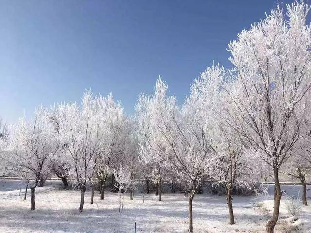 石河子团场的雪景传回,你去过吗?美翻了