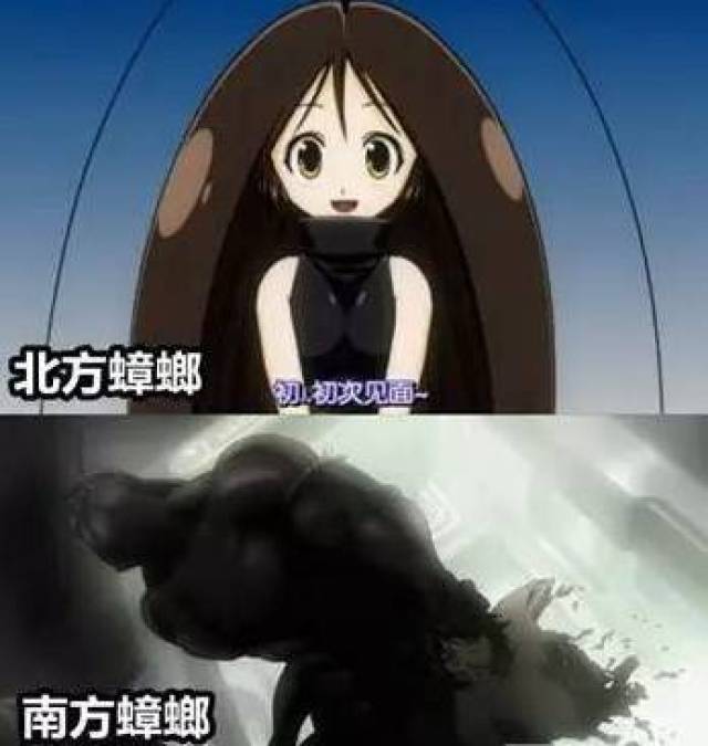 【男子耳道剧烈疼痛 医生竟夹出一只3厘米长的活蟑螂】上海奉贤区