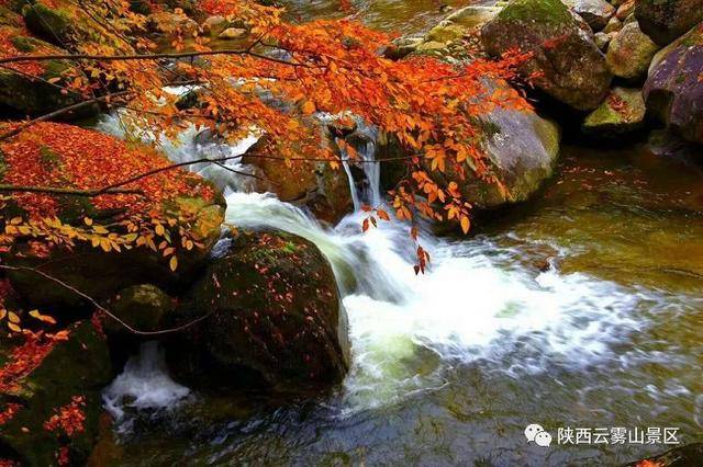 勉县云雾山,你想看的美景都在这里!