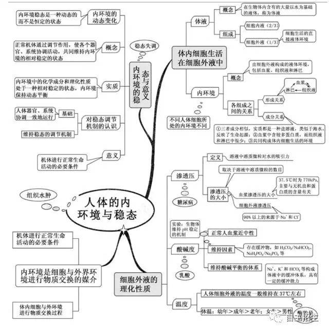 思维导图又一波!高中生物知识点都在这
