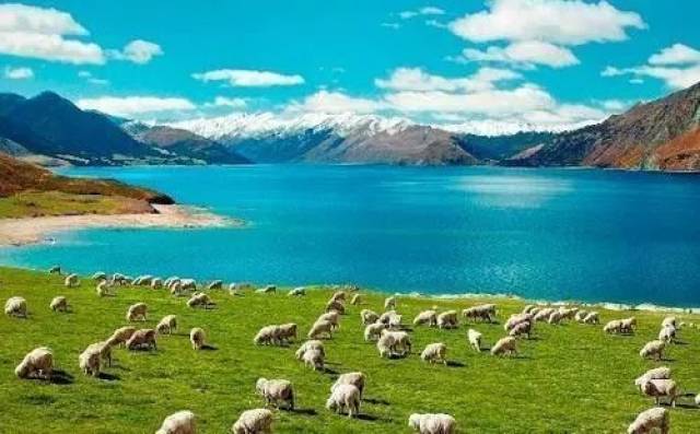 新西兰绿卡(pr)竟等值千万人民币?