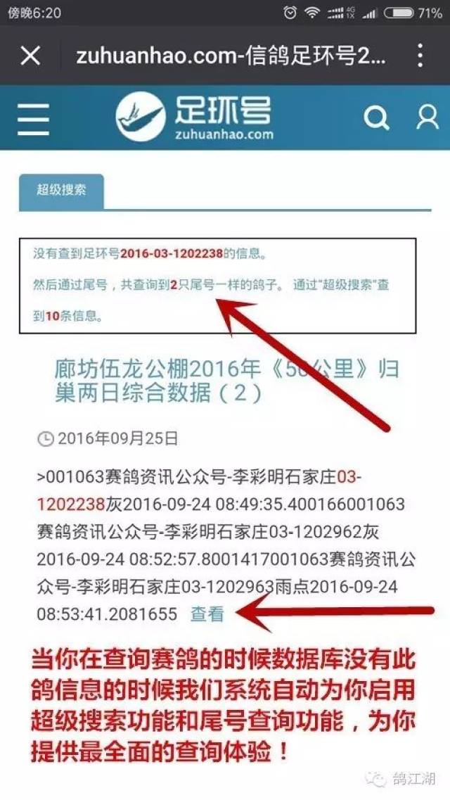 查鸽网足环号查询系统