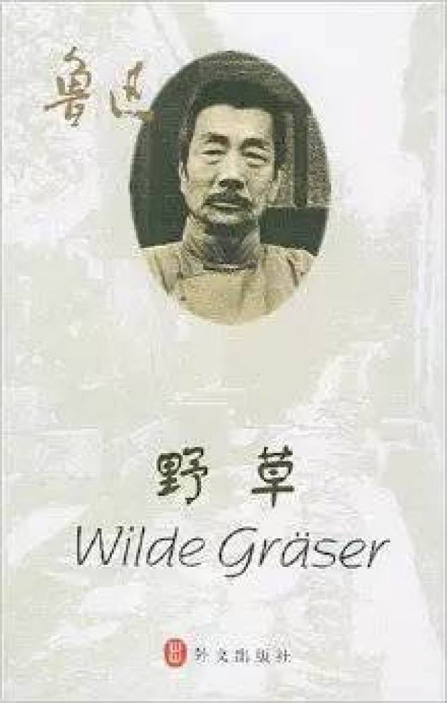 其中的二十三篇散文以各种象征主义手段集合了鲁迅先生一生的哲学和