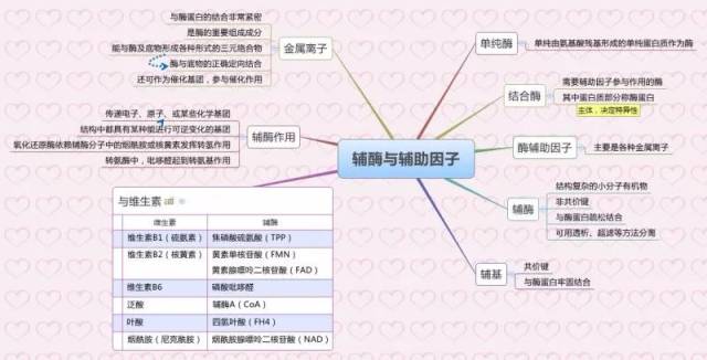 生物化学思维导图集合