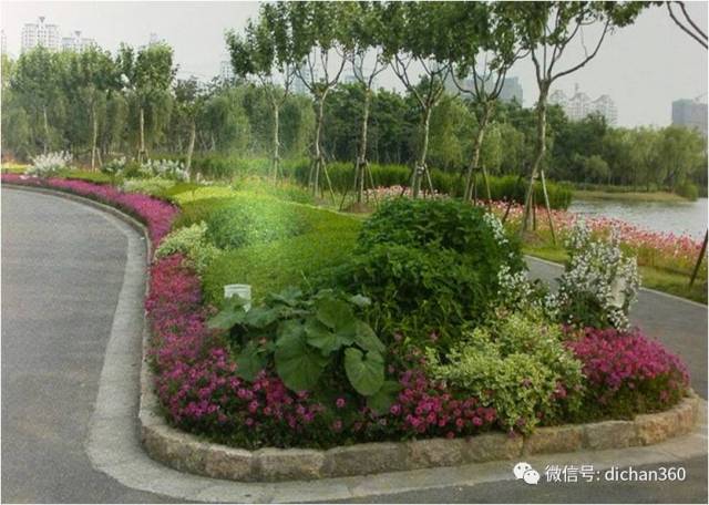 干货奉献花境61园林点睛之美