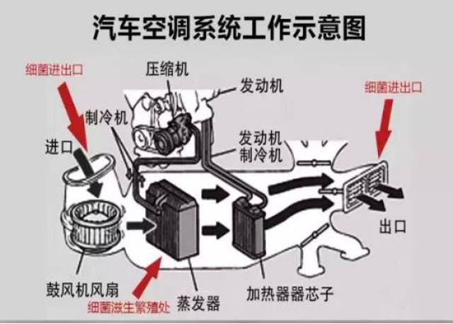 汽车空调蒸发箱一年不洗脏过马桶