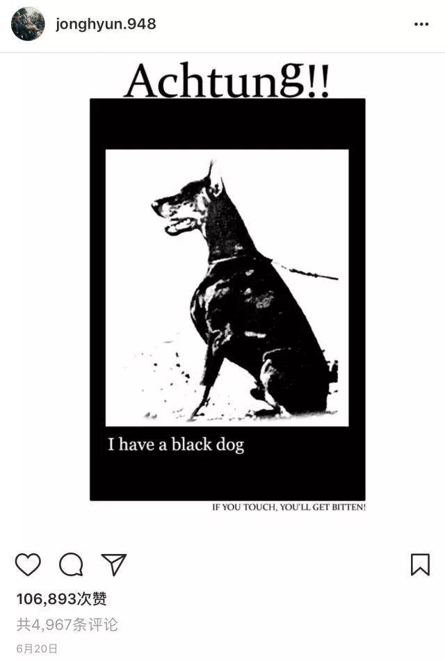 直到现在,人们才知道,原来这条黑狗指的是抑郁症.