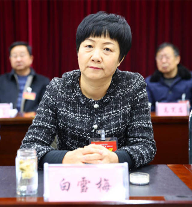县政协主席白雪梅