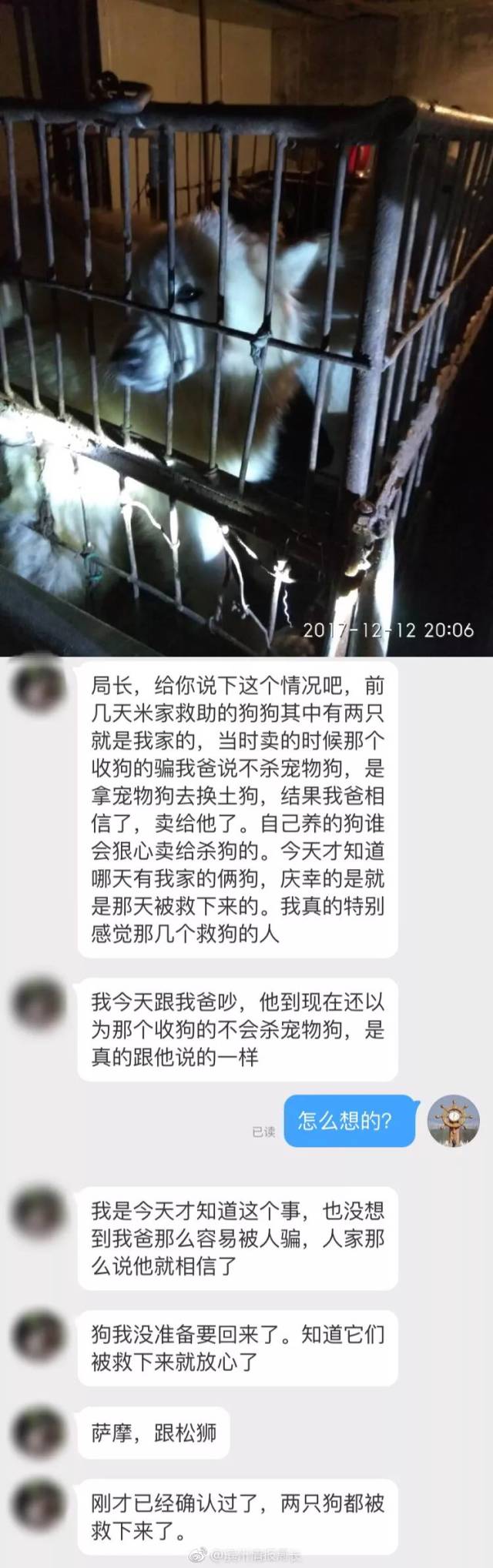 滨州一网友查交通违章,竟然扣了600分;有人说,前几天爱狗人士在屠狗场