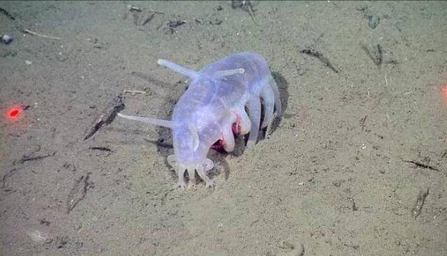 a3d7266878cc4588a4423925322b4ee3.jpeg