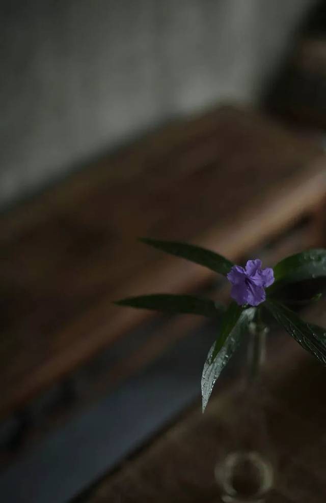闲适让心沉静