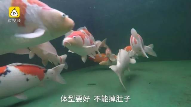 ba13c06651ae4b45a73d74ae301e1d28.jpeg