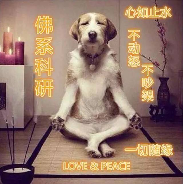 代表一种不以物喜,不以己悲 以「一切随缘」 为精神指导的生活态度 —