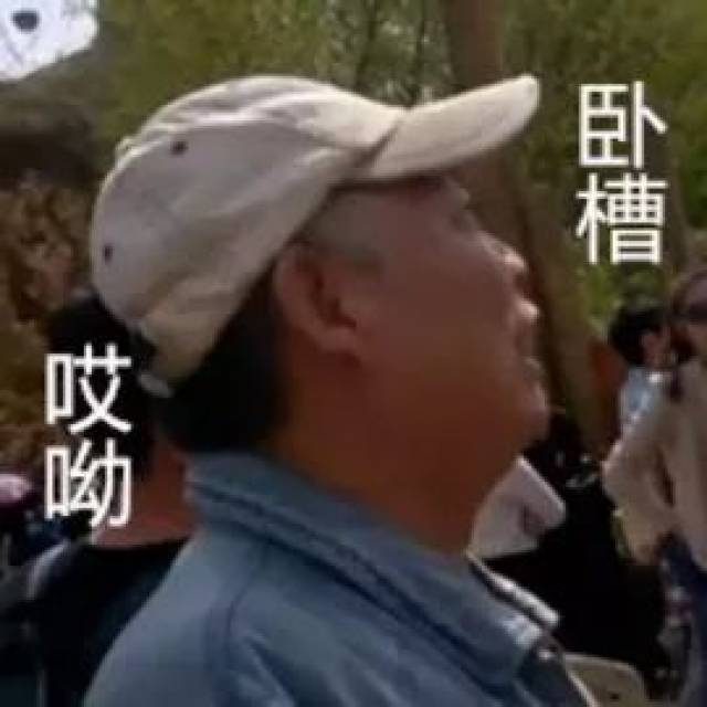 向我们证明什么叫姜还是老的辣 「卧槽大爷」是网友在北京欢乐谷 拍摄