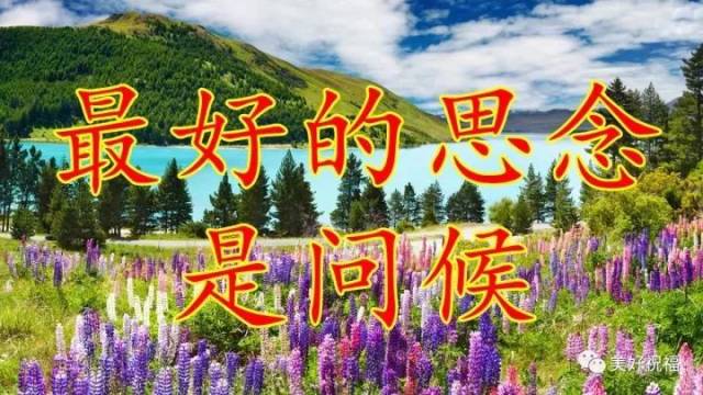 【祝福】祝愿我们的友谊天长地久!