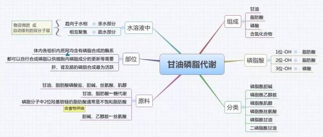 生物化学思维导图集合