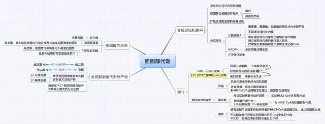 生物化学思维导图集合