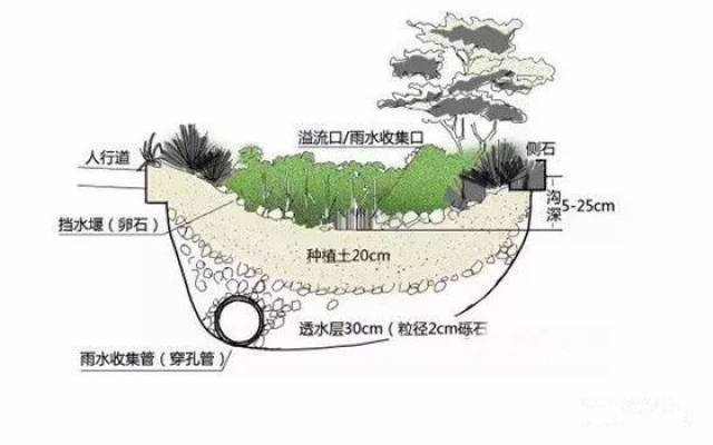 海绵城市 把大自然带到城市中与我们相见