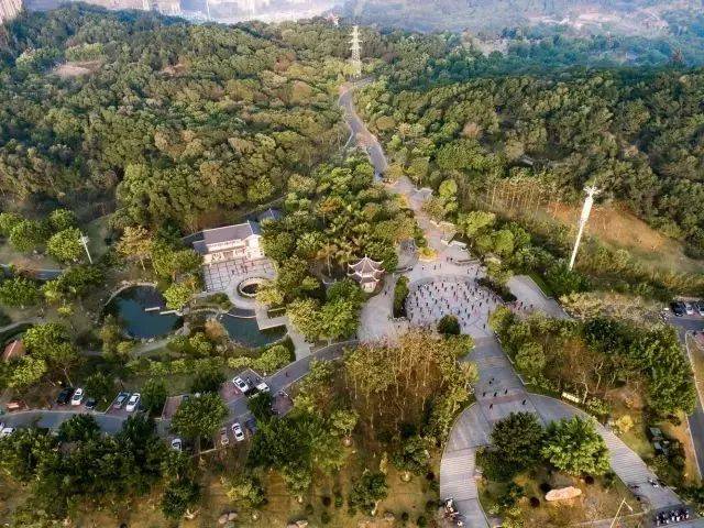 湖,阁,院,泉,石,岭景观特色,营造出"八仙七景",八仙山公园是晋江第一