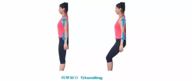站立平衡standing balance
