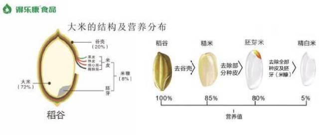 我们每天都在吃的大米中竟然有那么多"秘密",这样吃才