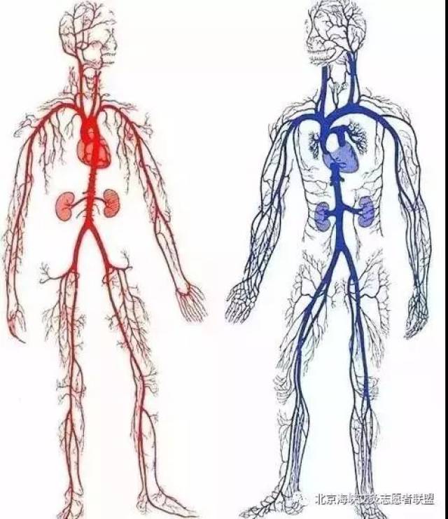 身上筋结散,体内百病去,那么如何散去身上的筋结呢?