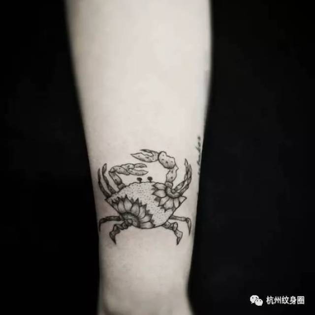 tattoo | 纹身素材: 巨蟹座(cancer)