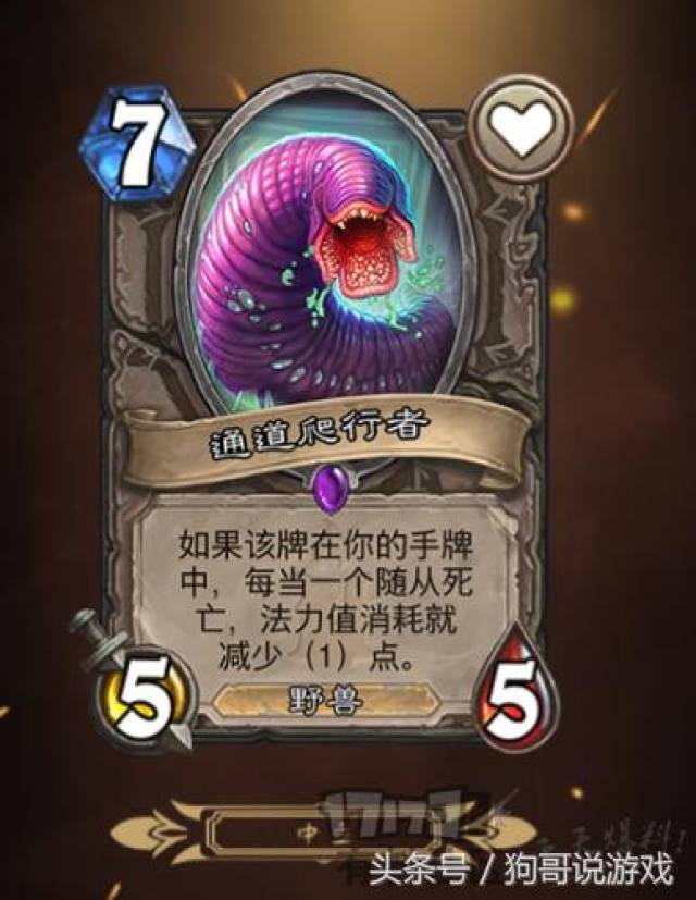 炉石传说狂野模式卡组推荐:新兴快攻骑,天梯顶