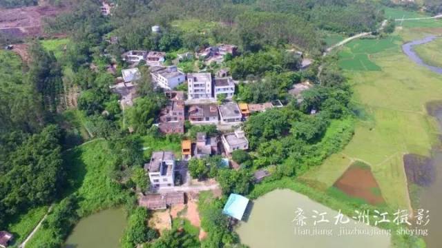 廉江乡镇人口_廉江樱花公园(2)